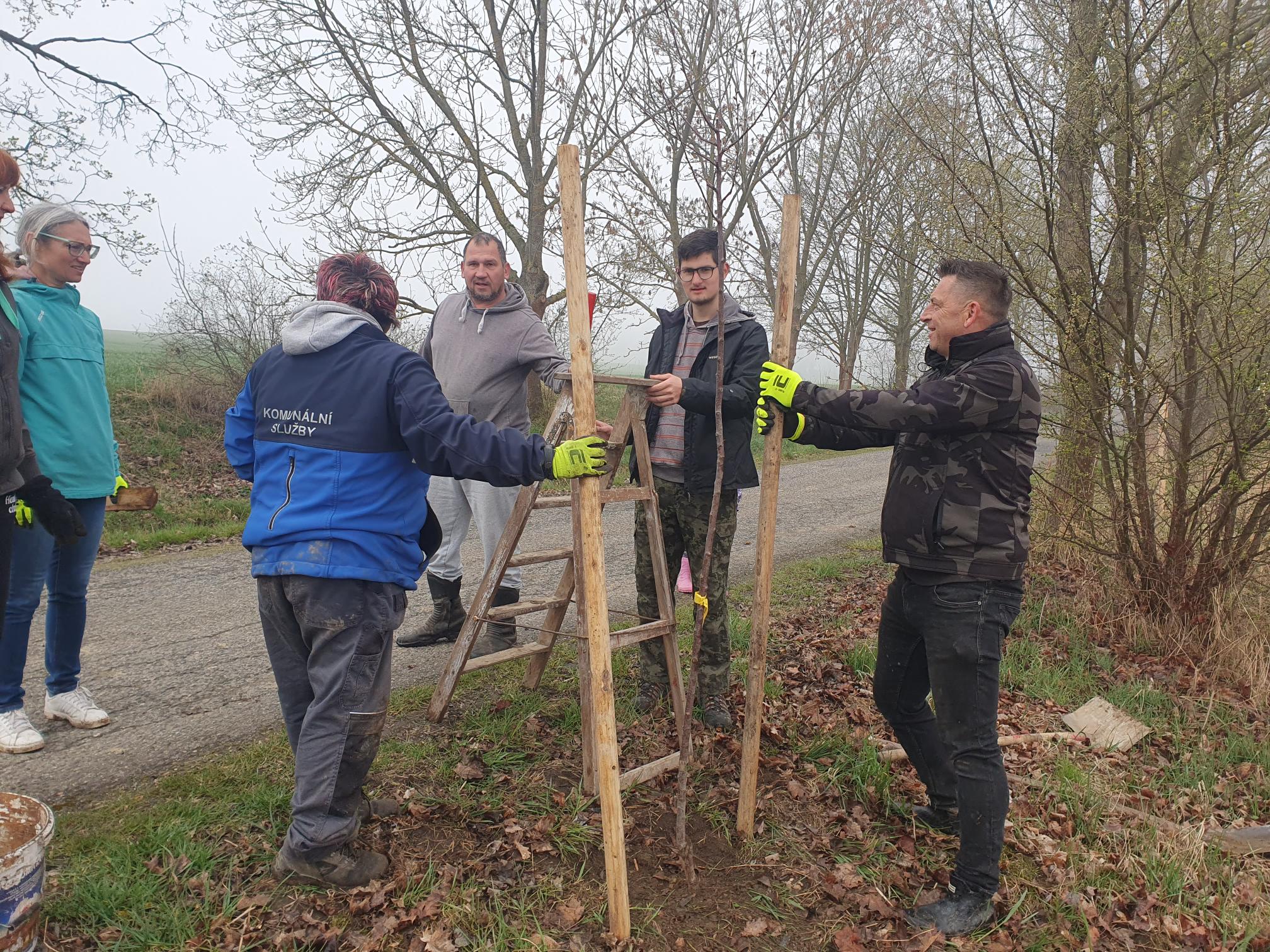 Výsadba ve Stebnici