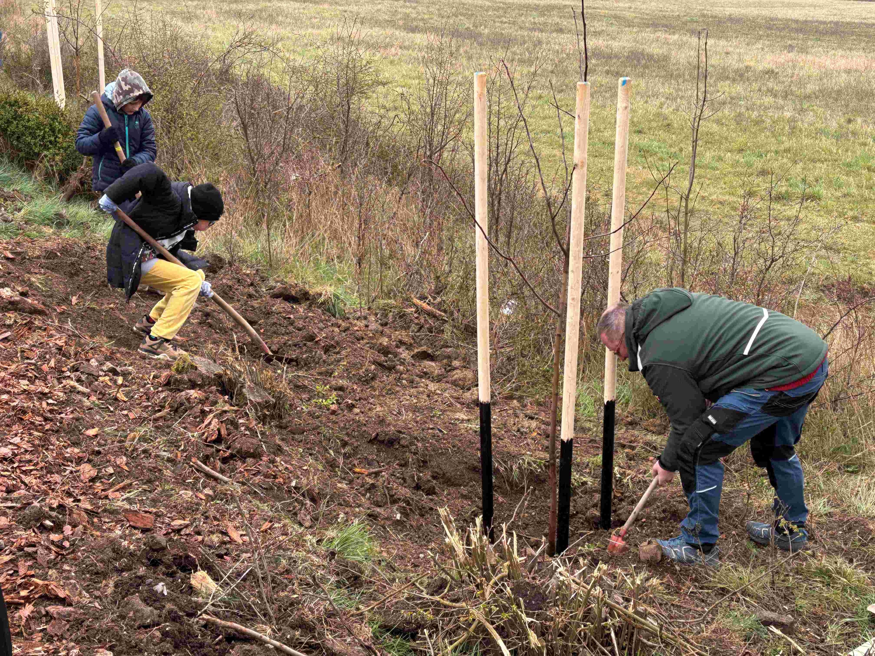 Grant Stromy Bystřany