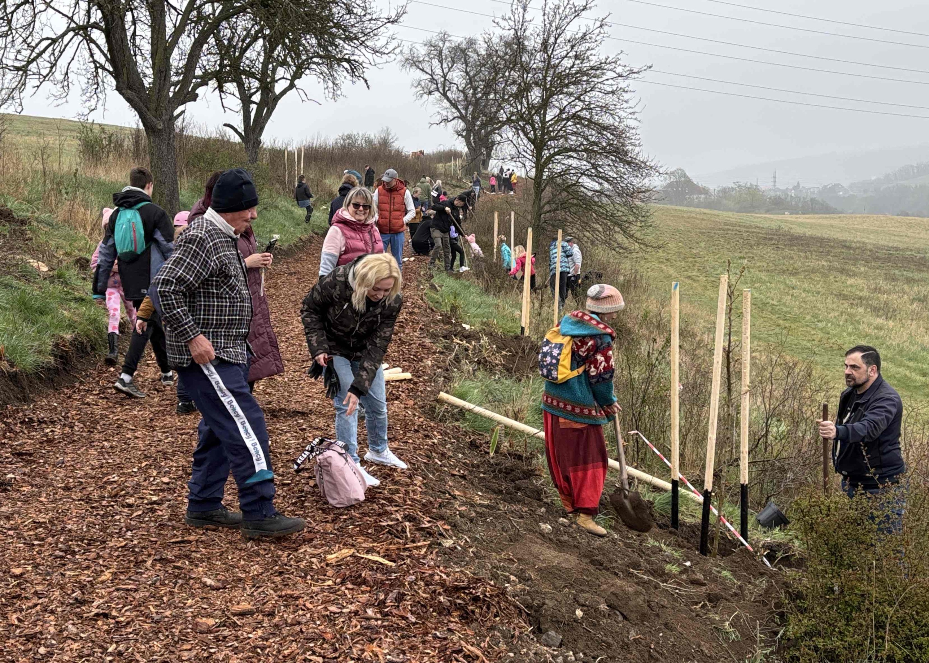 Grant Stromy Bystřany