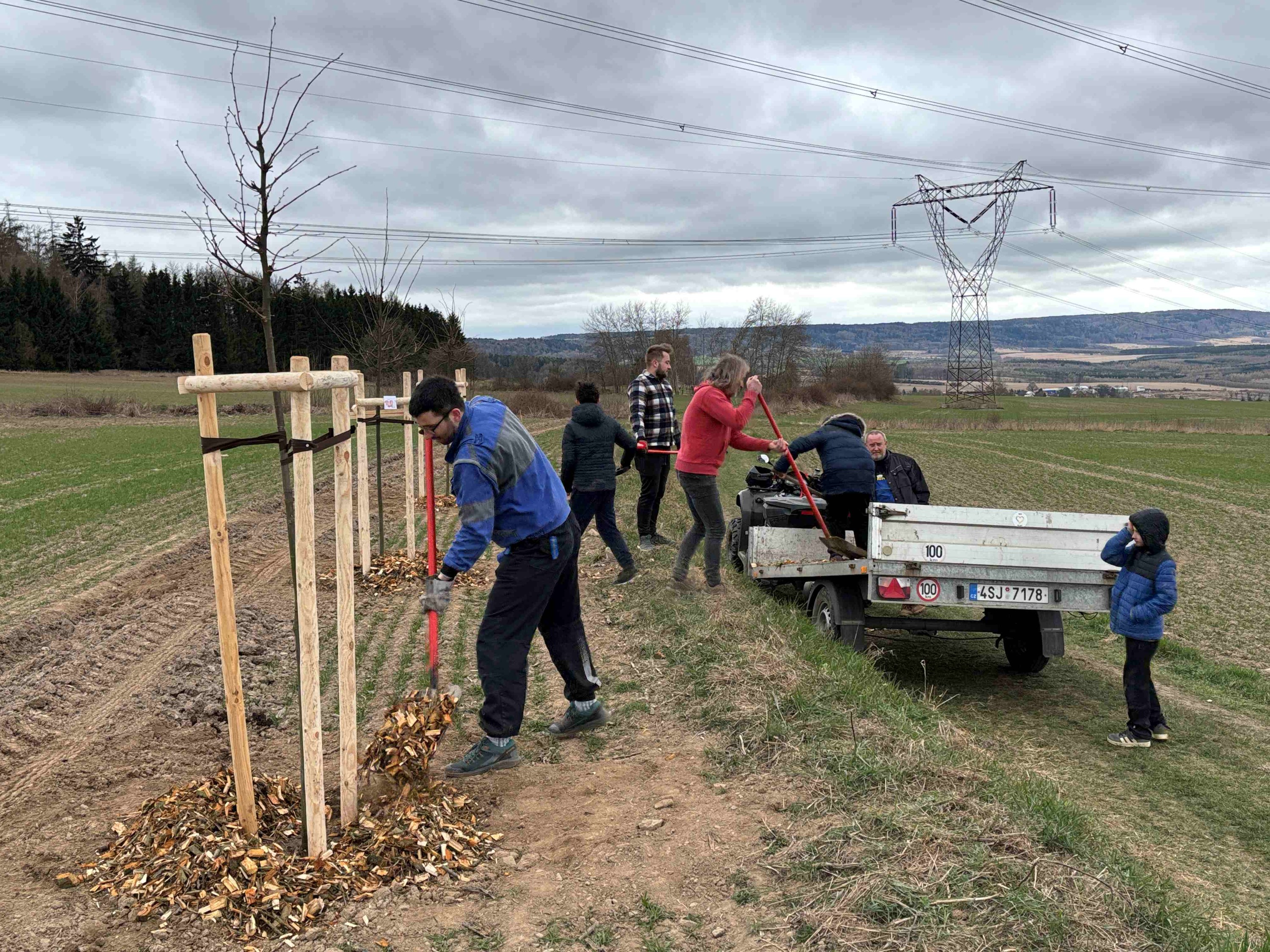 Grant Stromy Příčina