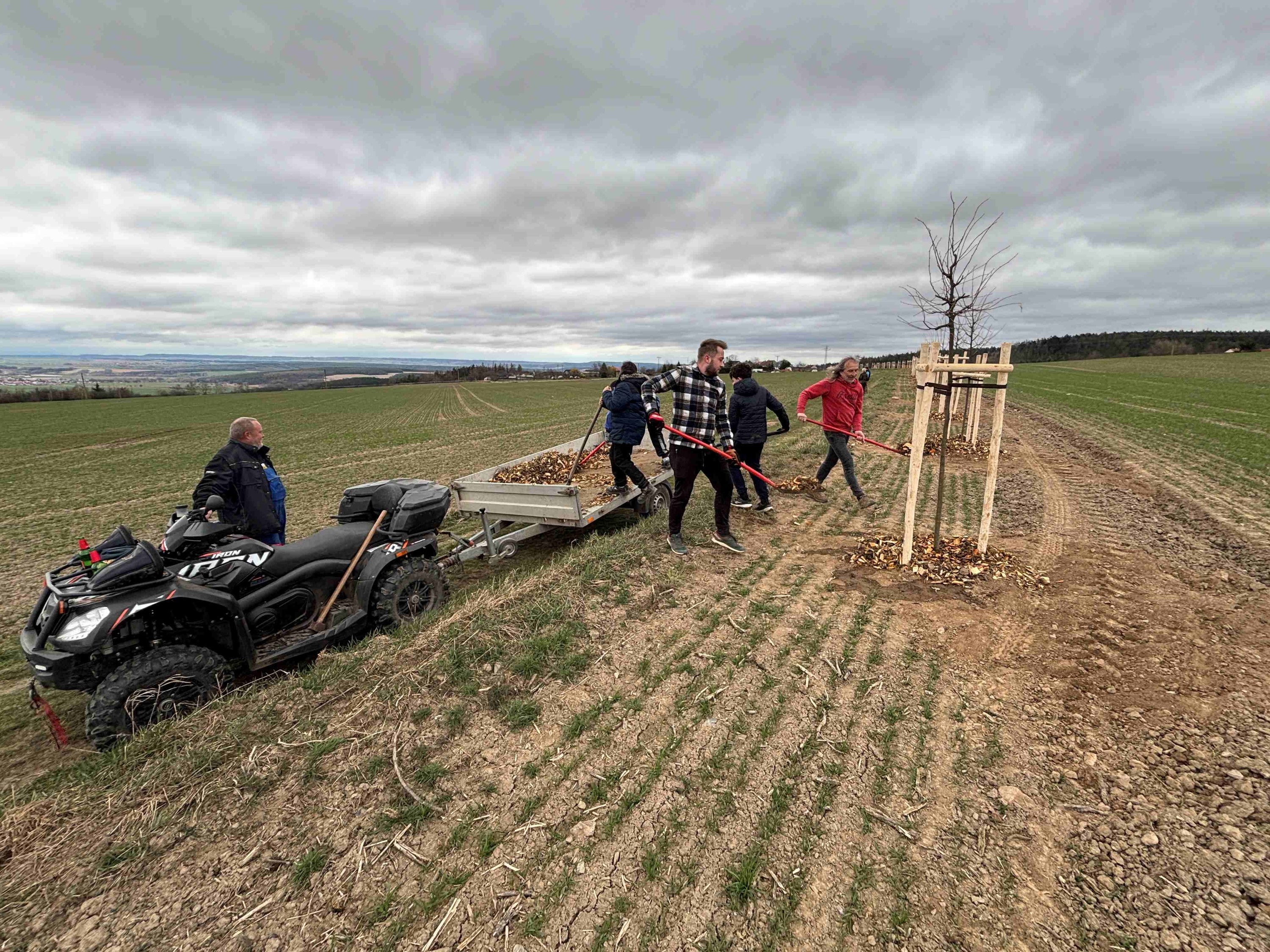 Grant Stromy Příčina