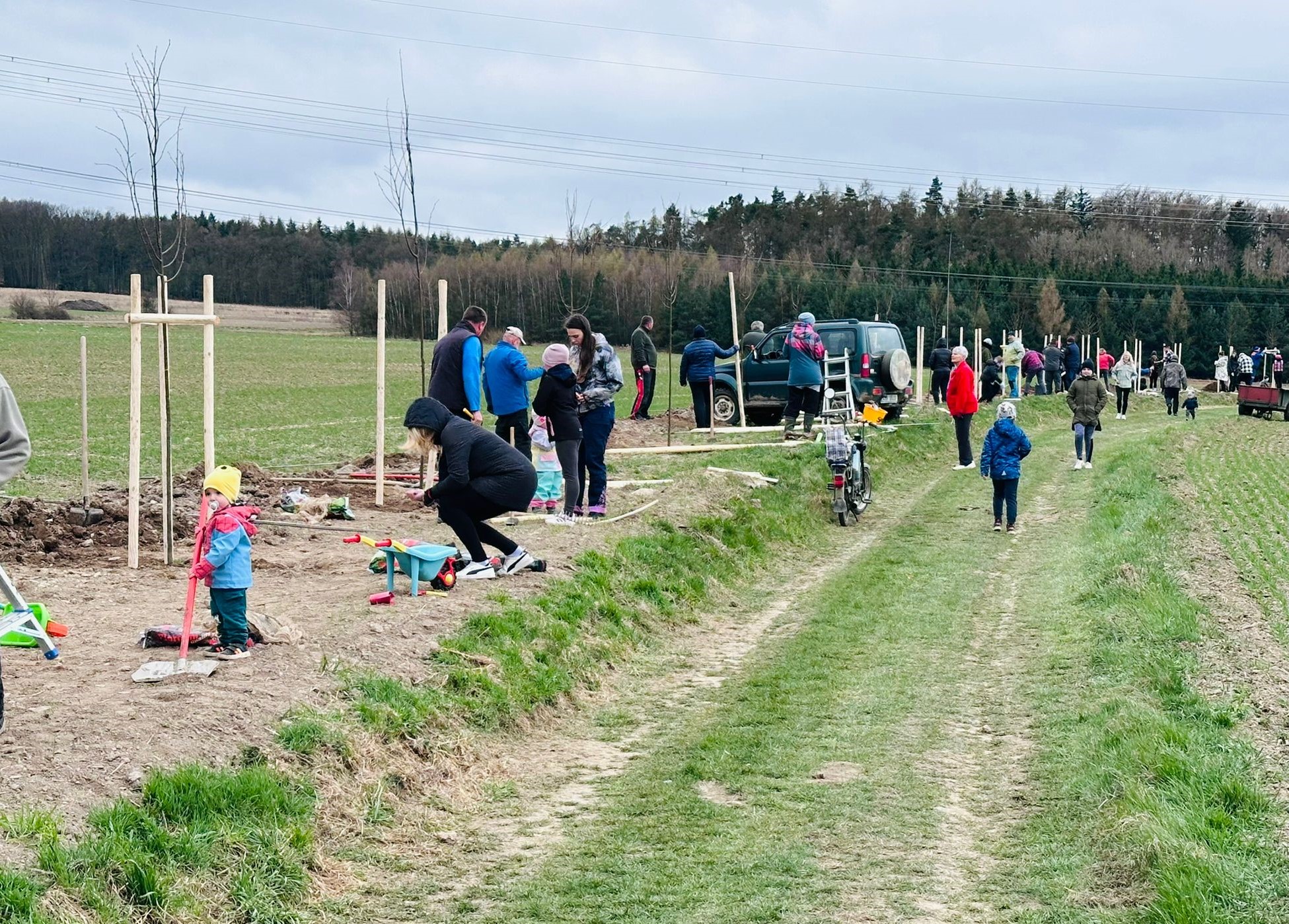 Grant Stromy Příčina