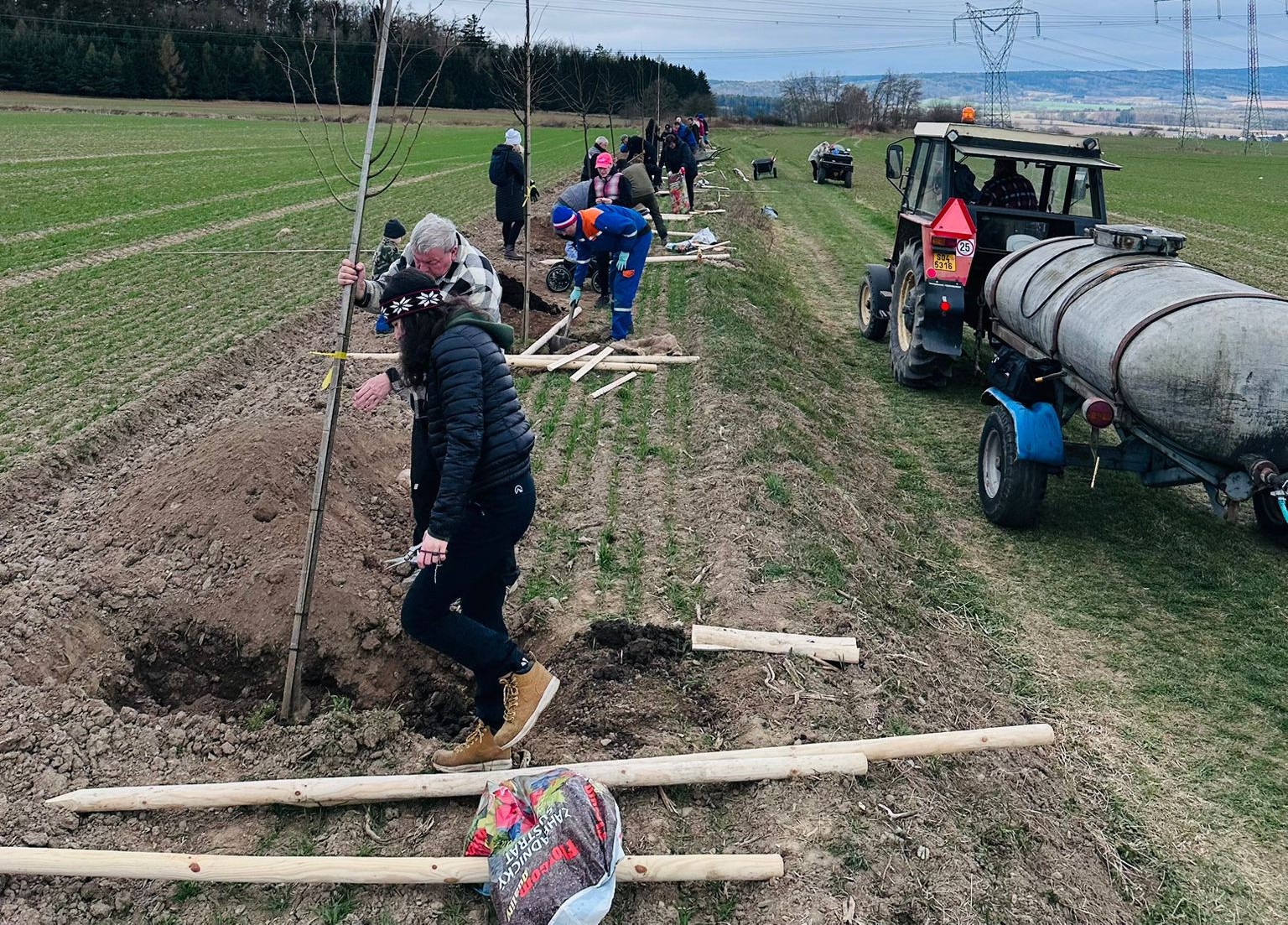 Grant Stromy Příčina