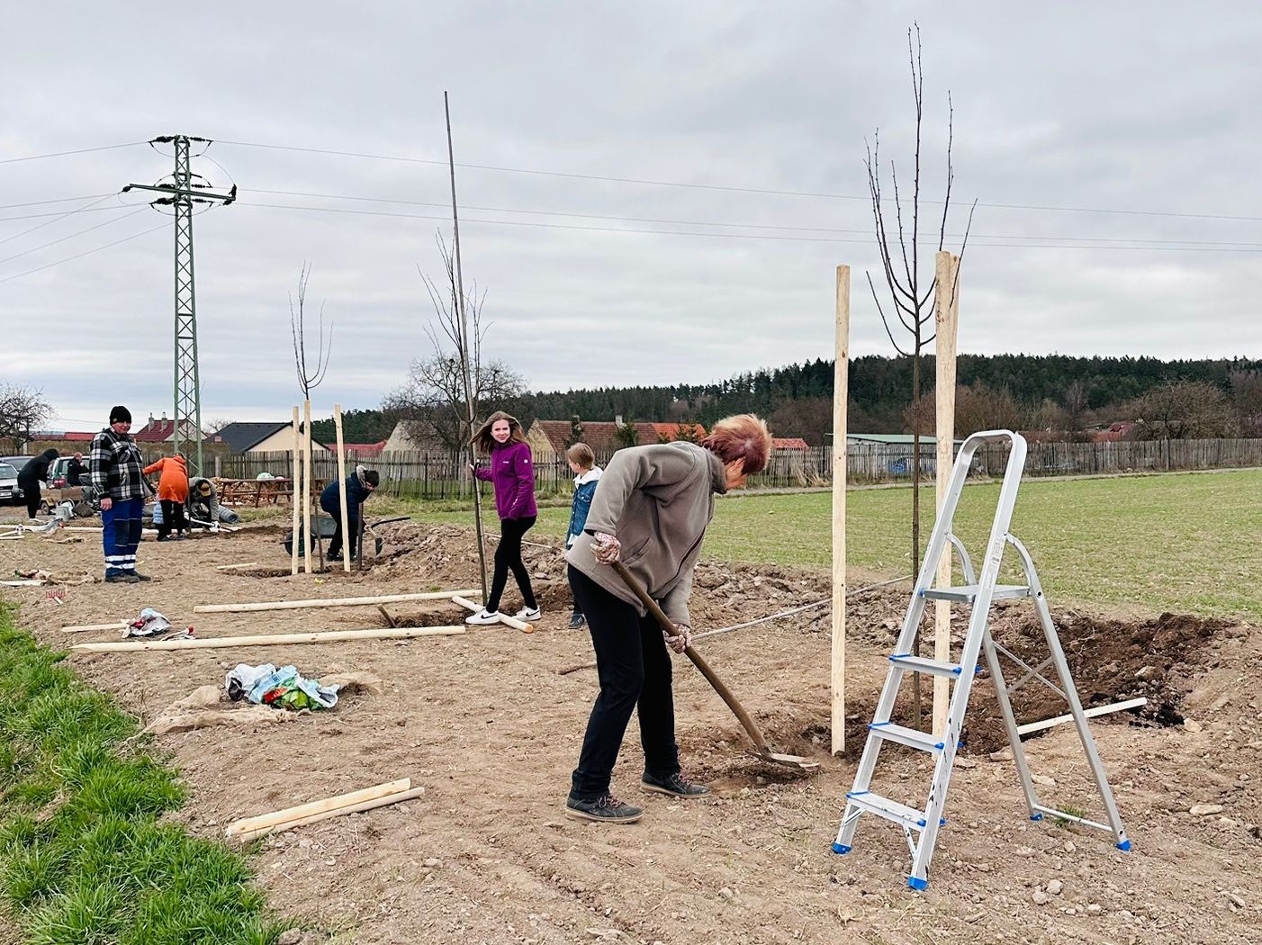 Grant Stromy Příčina