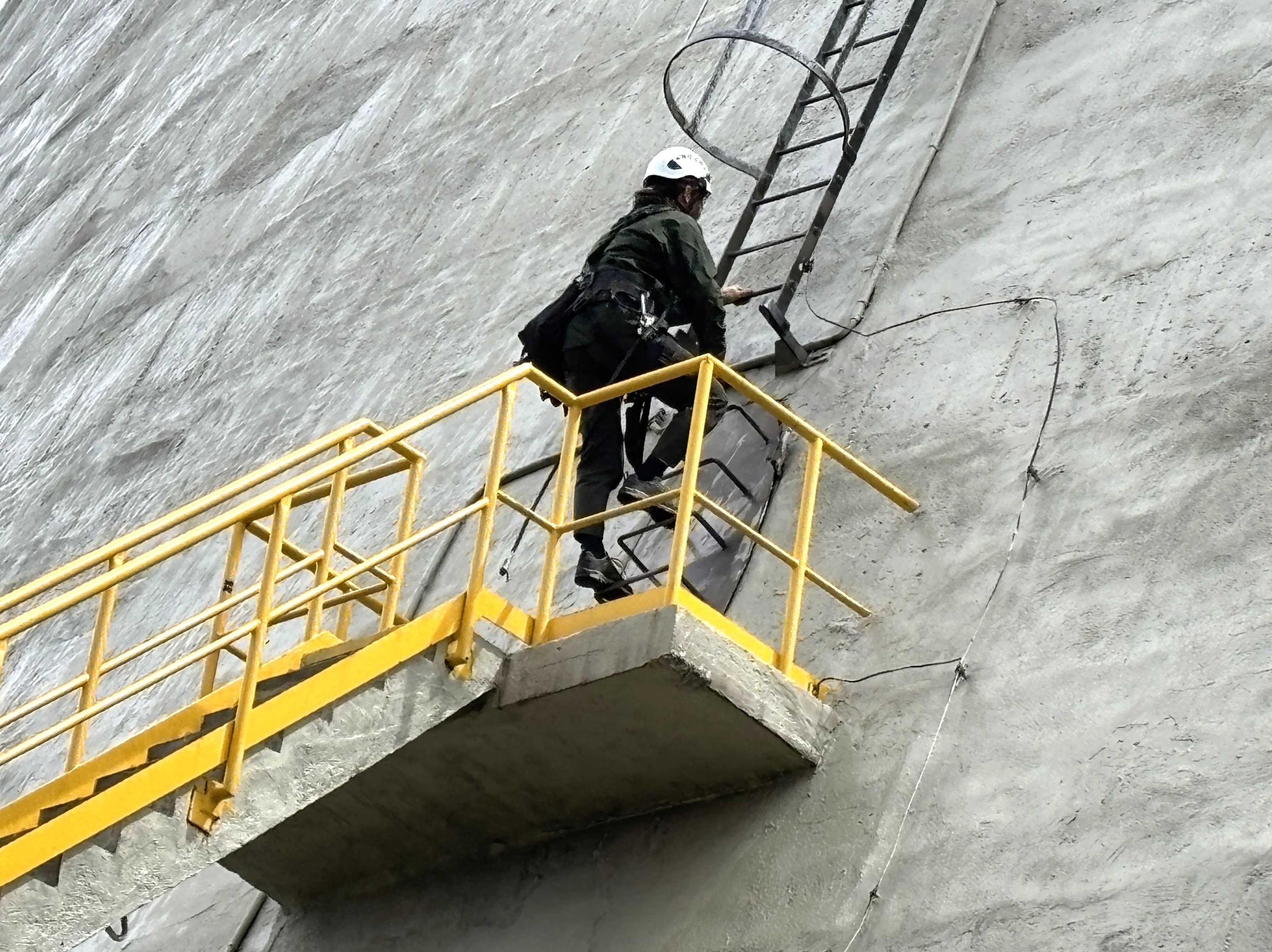 Sokolí farma ČEZ v roce 2026