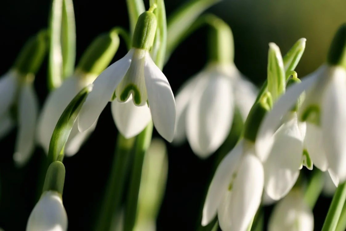 Bulletin Energetika v EU 2/2026