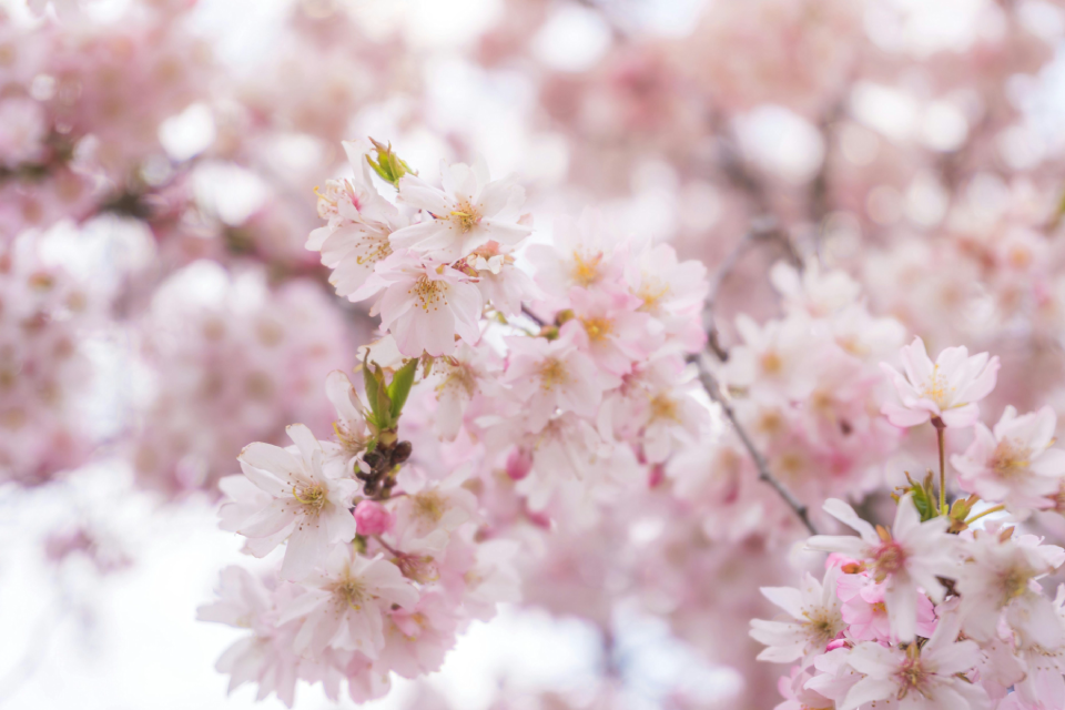 Bulletin Energetika v EU 4/2026