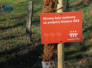 U všech nově vysazených stromořadí je pochopitelně umístěna informativní cedule o podpoře Nadací ČEZ.