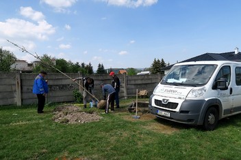 Úspěšným rekordmanem, co se grantu Stromy týče, je královské město Kadaň na Chomutovsku. Vloni zde tak díky podpoře Nadace ČEZ vysazovali novou zeleň již posedmé.