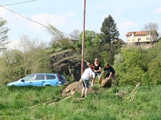 Novou zeleň mají díky grantu Stromy Nadace ČEZ i ve Štěchovicích.