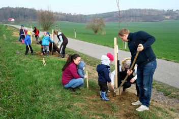 Loňská výsadba švestkové aleje ve Všejanech, konkrétně podél Radenické naučné stezky ve Vanovicích.