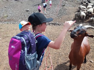 Pondělí patřilo i výšlapu na zrekultivované odkaliště sloužící od jara do podzimu jako pastvina pro smíšené stádo ovcí a koz.