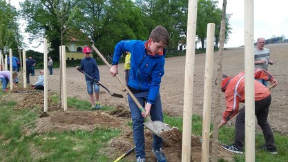 Máme hlavně radost, když se do sázení aktivně zapojují kromě dospělých obyvatel obcí i místní děti. Přirozeně se tak učí o zeleň pečovat a chránit ji, vnímají, jak stromy rostou a jak zpříjemňují jejich okolí. Do českého prostředí přirozeně patří nejen lesy, ale právě i stromy v parcích, zahradách nebo podél cest. Proto jsme rádi, že se i díky nám do kulturní krajiny vracejí,“ říká ředitelka Nadace ČEZ Michaela Ziková. 