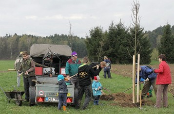 „Máme hlavně radost, když se do sázení aktivně zapojují kromě dospělých i děti. Přirozeně se tak učí o zeleň pečovat a chránit ji, vnímají, jak stromy rostou a jak zpříjemňují jejich okolí. Do českého prostředí přirozeně patří nejen lesy, ale právě i stromy v parcích, zahradách nebo podél cest. Proto jsme rádi, že se i díky nám do kulturní krajiny vracejí,“ říká ředitelka Nadace ČEZ Michaela Ziková.