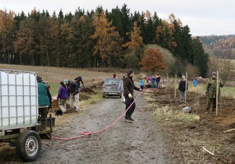 „Máme hlavně radost, když se do sázení aktivně zapojují kromě dospělých obyvatel obcí i místní děti. Přirozeně se tak učí o zeleň pečovat a chránit ji, vnímají, jak stromy rostou a jak zpříjemňují jejich okolí. Do českého prostředí přirozeně patří nejen lesy, ale právě i stromy v parcích, zahradách nebo podél cest. Proto jsme rádi, že se i díky nám do kulturní krajiny vracejí,“ říká ředitelka Nadace ČEZ Michaela Ziková. 