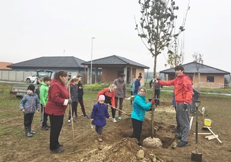 „Máme hlavně radost, když se do sázení aktivně zapojují kromě dospělých obyvatel obcí i místní děti. Přirozeně se tak učí o zeleň pečovat a chránit ji, vnímají, jak stromy rostou a jak zpříjemňují jejich okolí. Do českého prostředí přirozeně patří nejen lesy, ale právě i stromy v parcích, zahradách nebo podél cest. Proto jsme rádi, že se i díky nám do kulturní krajiny vracejí,“ říká ředitelka Nadace ČEZ Michaela Ziková. 