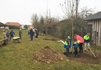 Máme hlavně radost, když se do sázení aktivně zapojují kromě dospělých obyvatel obcí i místní děti. Přirozeně se tak učí o zeleň pečovat a chránit ji, vnímají, jak stromy rostou a jak zpříjemňují jejich okolí. Do českého prostředí přirozeně patří nejen lesy, ale právě i stromy v parcích, zahradách nebo podél cest. Proto jsme rádi, že se i díky nám do kulturní krajiny vracejí,“ říká ředitelka Nadace ČEZ Michaela Ziková. 