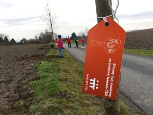 „Máme hlavně radost, když se do sázení aktivně zapojují kromě dospělých obyvatel obcí i místní děti. Přirozeně se tak učí o zeleň pečovat a chránit ji, vnímají, jak stromy rostou a jak zpříjemňují jejich okolí. Do českého prostředí přirozeně patří nejen lesy, ale právě i stromy v parcích, zahradách nebo podél cest. Proto jsme rádi, že se i díky nám do kulturní krajiny vracejí,“ říká ředitelka Nadace ČEZ Michaela Ziková. 