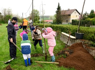 „Máme hlavně radost, když se do sázení aktivně zapojují kromě dospělých obyvatel obcí i místní děti. Přirozeně se tak učí o zeleň pečovat a chránit ji, vnímají, jak stromy rostou a jak zpříjemňují jejich okolí. Do českého prostředí přirozeně patří nejen lesy, ale právě i stromy v parcích, zahradách nebo podél cest. Proto jsme rádi, že se i díky nám do kulturní krajiny vracejí,“ říká ředitelka Nadace ČEZ Michaela Ziková. 