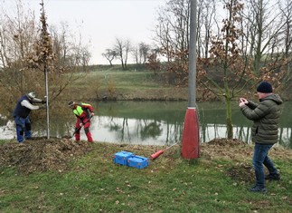 Arboristovi Josefu Humlovi (vpravo) pomáhal při usazování stromů  zaměstnanec obce Josef Brož. Vpravo pořizuje fotodokumentaci starosta Milan Preťo.