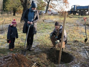 Jak hluboko zasadit ovocný strom ukazuje potulný sadař Dominik Grohmann.