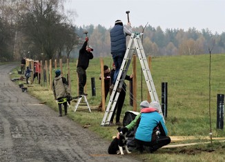 Omezený počet sázejících, ve dvojicích a ve vztahu rodinném či osoba blízká. Tak probíhala výsadba ovocných stromů v Ralsku.