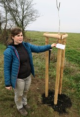 Ředitelka Geoparku Ralsko Lenka Mrázová u hrušně, kterou   jako první zasadil hejtman Libereckého kraje Martin Půta.