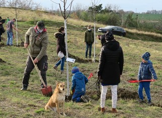  Sází celá rodina…, aneb Vysušilovi a jejich švestka.