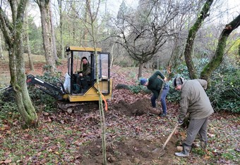 Novou výsadbu v arboretu si vzali na starost hlavně zaměstnanci školy. Buď pracovali samostatně, nebo v uctivé vzdálenosti od sebe.
  
