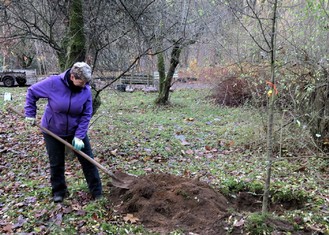 Novou výsadbu v arboretu si vzali na starost hlavně zaměstnanci školy. Buď pracovali samostatně, nebo v uctivé vzdálenosti od sebe.
  
