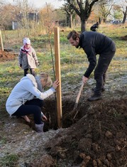 Mnoho let zanedbávaný sad Višňovka pod Svatojánským vrškem v Lešanech je již čtvrtým rokem středem zájmu místních obyvatel a jejich přátel sdružujících se v sousedském komunitním spolku Lešanský sad. Celé místo postupně zvelebují a víceméně pravidelně se v něm také při různý příležitostech setkávají. Zatím tou poslední byla v sobotu 21. listopadu výsadba nových ovocných stromů, na kterou spolku 20 000 korunami přispěla Nadace ČEZ v rámci grantu Stromy.