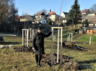 Starostka Chomle Jana Tomášková u jednoho z vysazených ovocných stromů.