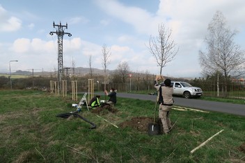 Vysazené okrasné hrušně budou poskytovat stín chodcům, tudíž hlavně přes léto poslouží k ochlazení klimatu. Stanou se i přirozeným větrolamem a útočištěm drobného ptactva v lokalitě zvané Vinohrady.