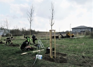 Vysazené okrasné hrušně budou poskytovat stín chodcům, tudíž hlavně přes léto poslouží k ochlazení klimatu. Stanou se i přirozeným větrolamem a útočištěm drobného ptactva v lokalitě zvané Vinohrady.