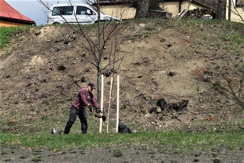 Hned ve dvou lokalitách v obci Vilémov na Šluknovsku zakořeňuje od soboty 24. dubna celkem jednatřicet nových stromů, jejichž výsadbu podpořila Nadace ČEZ 113 600 korunami v rámci grantu Stromy. Dvacet z nich bylo vysazeno u sportovní haly a jedenáct pod místní mateřskou školou.