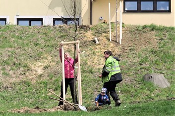 Hned ve dvou lokalitách v obci Vilémov na Šluknovsku zakořeňuje od soboty 24. dubna celkem jednatřicet nových stromů, jejichž výsadbu podpořila Nadace ČEZ 113 600 korunami v rámci grantu Stromy. Dvacet z nich bylo vysazeno u sportovní haly a jedenáct pod místní mateřskou školou.