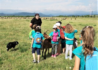 Pastevec Matěj Hamák přibližuje dětem energetiků co vlastně obnáší starat se o ovce a kozy na volné pastvě