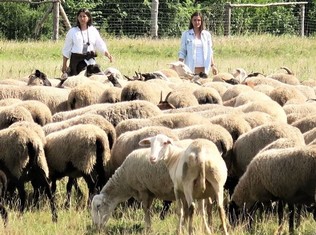 Pastevkyně Andrea Hamáková (vlevo) a Marie Hamáková v akci.