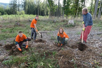 Stejná parta a lokalita jako vloni, jen jiná oplocenka a opět nová výsadba buků; tak by se dala stručně charakterizovat aktivita devíti energetiků ze Skupiny ČEZ s výkonem práce v Plzni a Příbrami. Nové stromy sázeli opět na Domažlicku v lokalitě Babylon na hranici CHKO Český les.