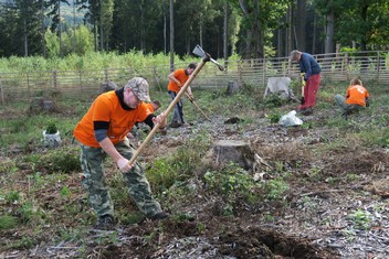 Stejná parta a lokalita jako vloni, jen jiná oplocenka a opět nová výsadba buků; tak by se dala stručně charakterizovat aktivita devíti energetiků ze Skupiny ČEZ s výkonem práce v Plzni a Příbrami. Nové stromy sázeli opět na Domažlicku v lokalitě Babylon na hranici CHKO Český les.