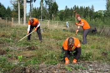 Stejná parta a lokalita jako vloni, jen jiná oplocenka a opět nová výsadba buků; tak by se dala stručně charakterizovat aktivita devíti energetiků ze Skupiny ČEZ s výkonem práce v Plzni a Příbrami. Nové stromy sázeli opět na Domažlicku v lokalitě Babylon na hranici CHKO Český les.