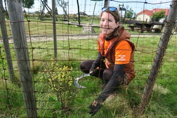 Jako v kleci aneb vyžínání trávy kolem stromku v oplocence v areálu Lesná v Krušných horách. Na snímku je Barbora Panušková z ČEZ Nákup Chomutov