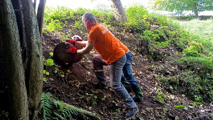 Nejvíce zabrat daly tentokráte dobrovolníkům v Zubrnicích těžké jasanové špalky.