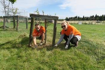 Vyžínání trávy v areálu Lesná v Krušných horách. Na snímku jsou Věra Straková z Elektrárny Tušimice a David Machata z litoměřické ČEZ Distribuce.