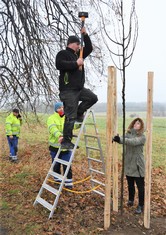 K více než 600 projektům za téměř 65 milionů korun se během uplynulého víkendu připojila i Krásná Lípa na Děčínsku, kde proběhla výsadba aleje na Skřivánčím Poli. Město na ni získalo od Nadace ČEZ příspěvek ve výši 100 000 korun. 