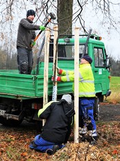 K více než 600 projektům za téměř 65 milionů korun se během uplynulého víkendu připojila i Krásná Lípa na Děčínsku, kde proběhla výsadba aleje na Skřivánčím Poli. Město na ni získalo od Nadace ČEZ příspěvek ve výši 100 000 korun. 