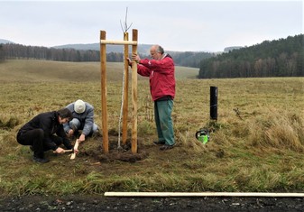 Národní Geopark Ralsko pokračuje ve výsadbě Aleje vzpomínek na památku zaniklých obcí v bývalém vojenském prostoru. Další jabloně a hrušně, které v sobotu 20. listopadu vysadili zaměstnanci Geoparku spolu s dobrovolníky a přáteli, připomínají pohnutou historii kraje. Pocházejí totiž z roubů starých ovocných stromů, které přežily jako poslední připomínka bývalého osídlení. 

