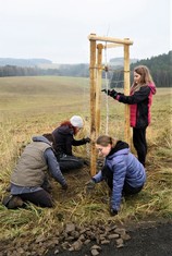 Národní Geopark Ralsko pokračuje ve výsadbě Aleje vzpomínek na památku zaniklých obcí v bývalém vojenském prostoru. Další jabloně a hrušně, které v sobotu 20. listopadu vysadili zaměstnanci Geoparku spolu s dobrovolníky a přáteli, připomínají pohnutou historii kraje. Pocházejí totiž z roubů starých ovocných stromů, které přežily jako poslední připomínka bývalého osídlení. 

