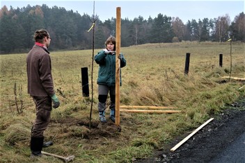 Národní Geopark Ralsko pokračuje ve výsadbě Aleje vzpomínek na památku zaniklých obcí v bývalém vojenském prostoru. Další jabloně a hrušně, které v sobotu 20. listopadu vysadili zaměstnanci Geoparku spolu s dobrovolníky a přáteli, připomínají pohnutou historii kraje. Pocházejí totiž z roubů starých ovocných stromů, které přežily jako poslední připomínka bývalého osídlení. 

