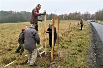 Národní Geopark Ralsko pokračuje ve výsadbě Aleje vzpomínek na památku zaniklých obcí v bývalém vojenském prostoru. Další jabloně a hrušně, které v sobotu 20. listopadu vysadili zaměstnanci Geoparku spolu s dobrovolníky a přáteli, připomínají pohnutou historii kraje. Pocházejí totiž z roubů starých ovocných stromů, které přežily jako poslední připomínka bývalého osídlení. 

